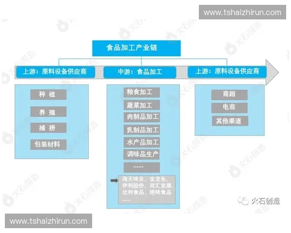 深入解析卡塔尔足球联赛发展现状与未来竞争格局探索趋势全面研究